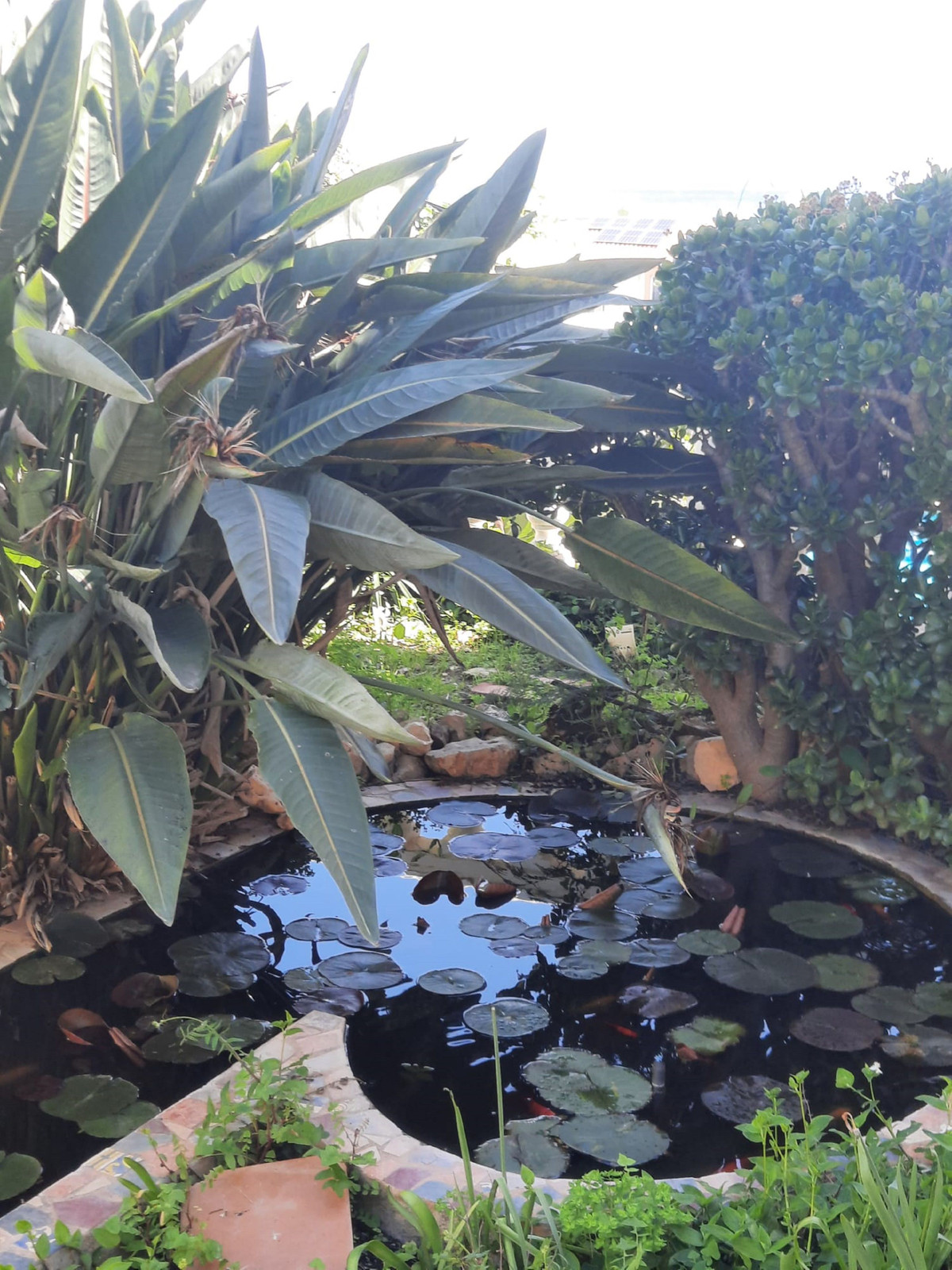 Property main view 20