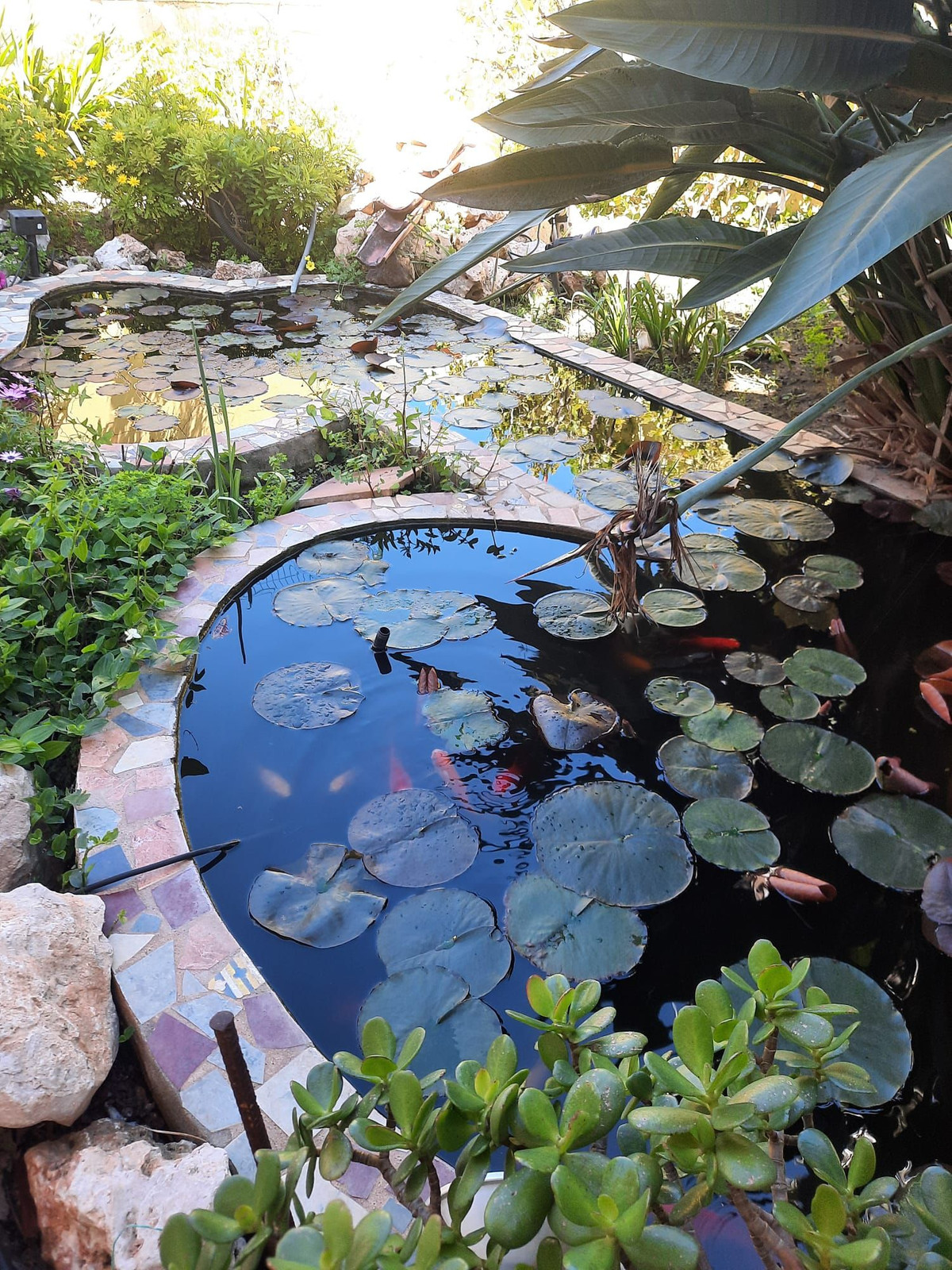 Property main view 21