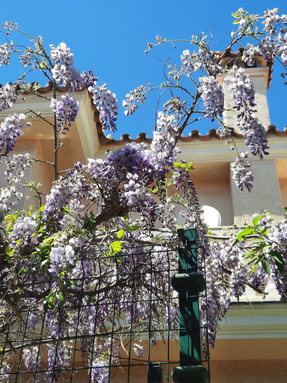 Property main view 22