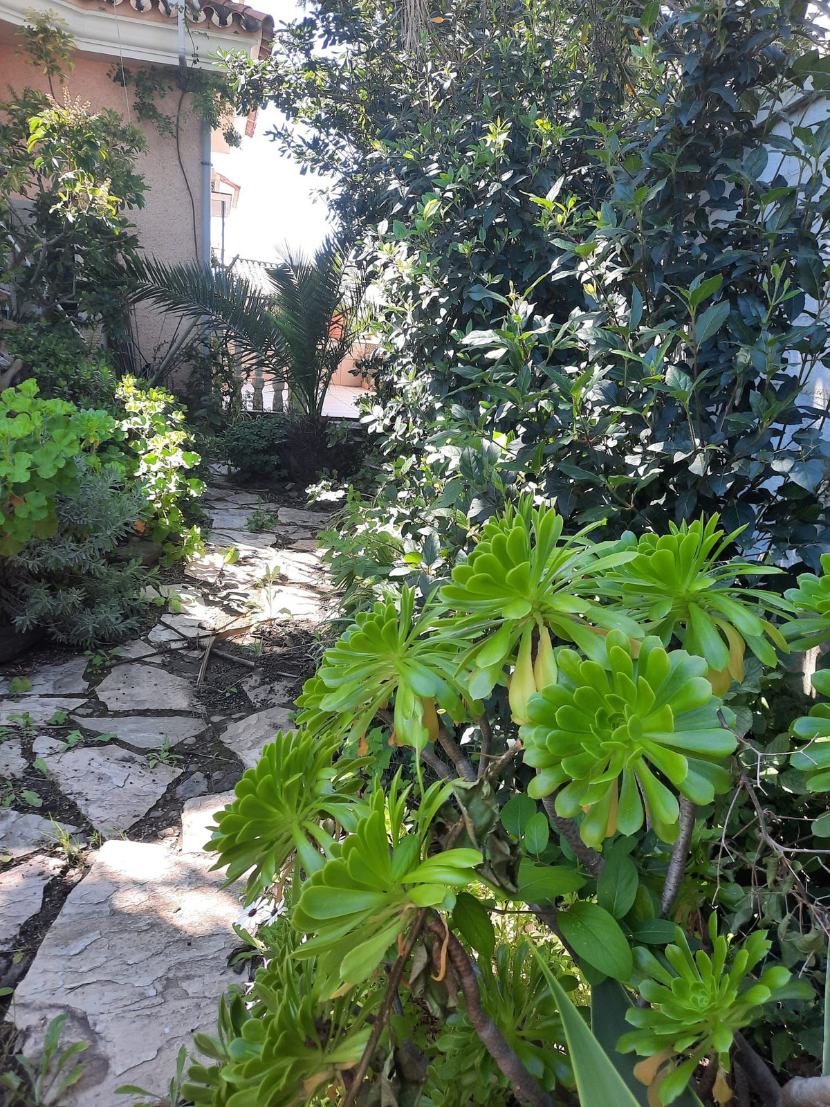 Property main view 24