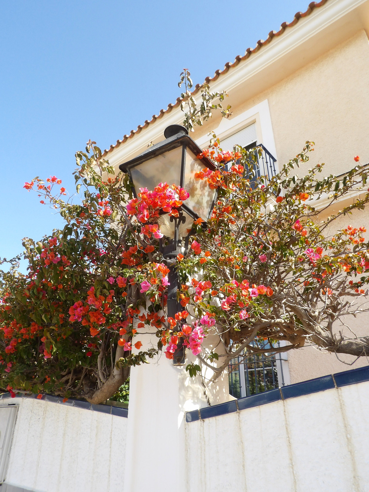 Property main view 26