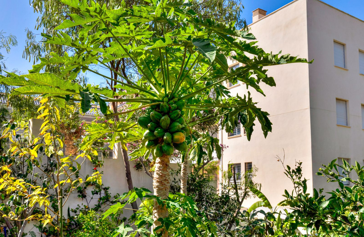 Huis te koop in Fuengirola | 3 slaapkamers H5122096