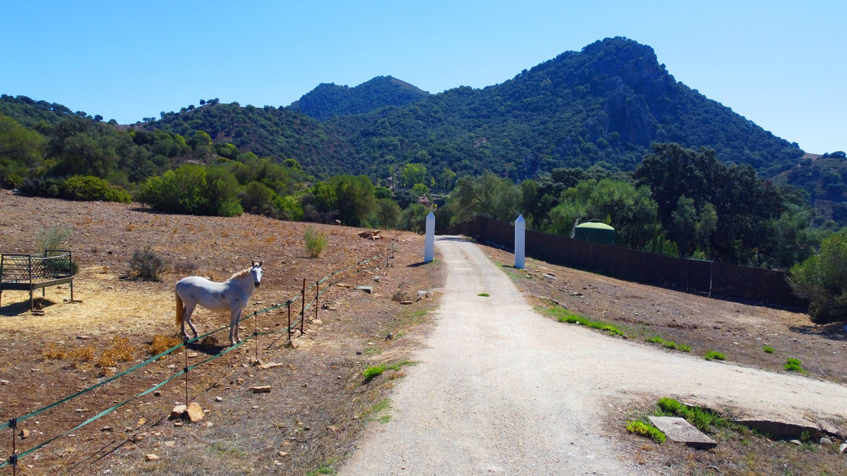 Finca - Cortijo te koop in Gaucín | 9 slaapkamers H4750678