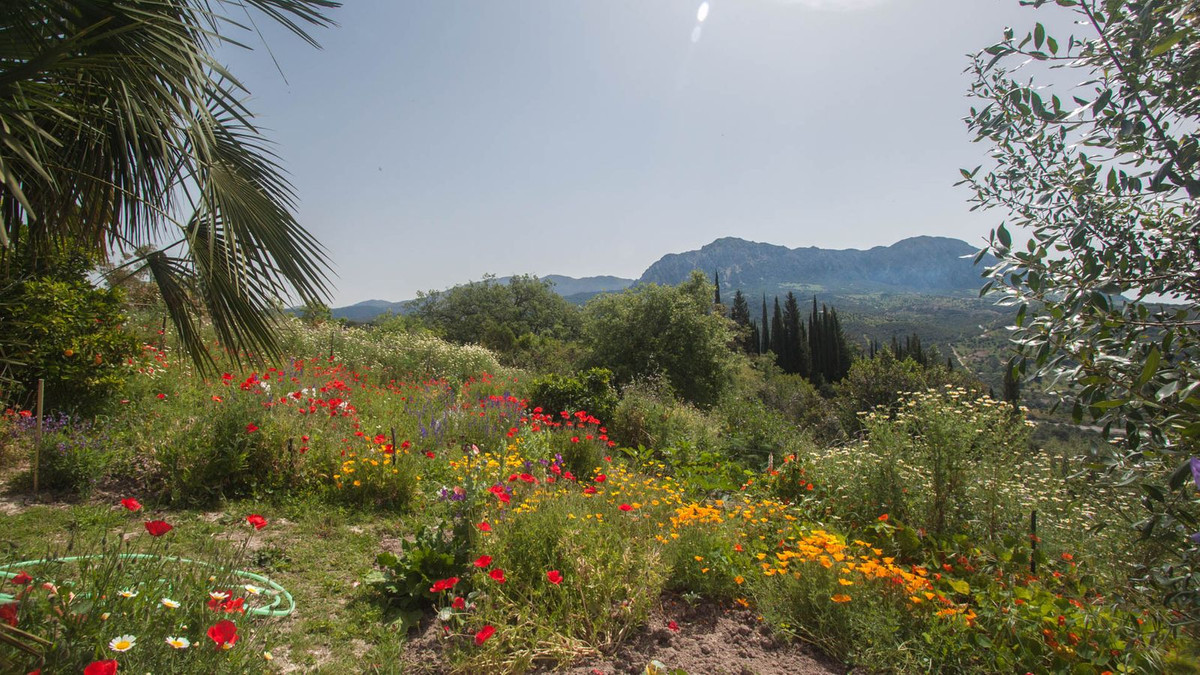 Finca - Cortijo in Gaucín-54