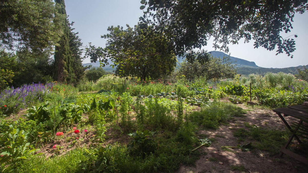 Finca - Cortijo in Gaucín-55