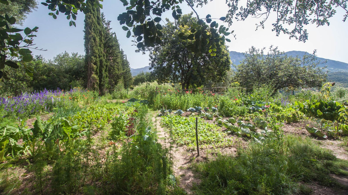 Finca - Cortijo in Gaucín-56
