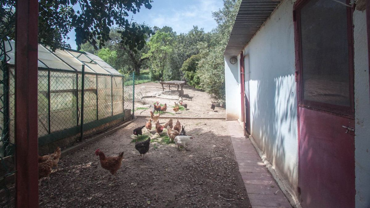 Finca - Cortijo in Gaucín-58