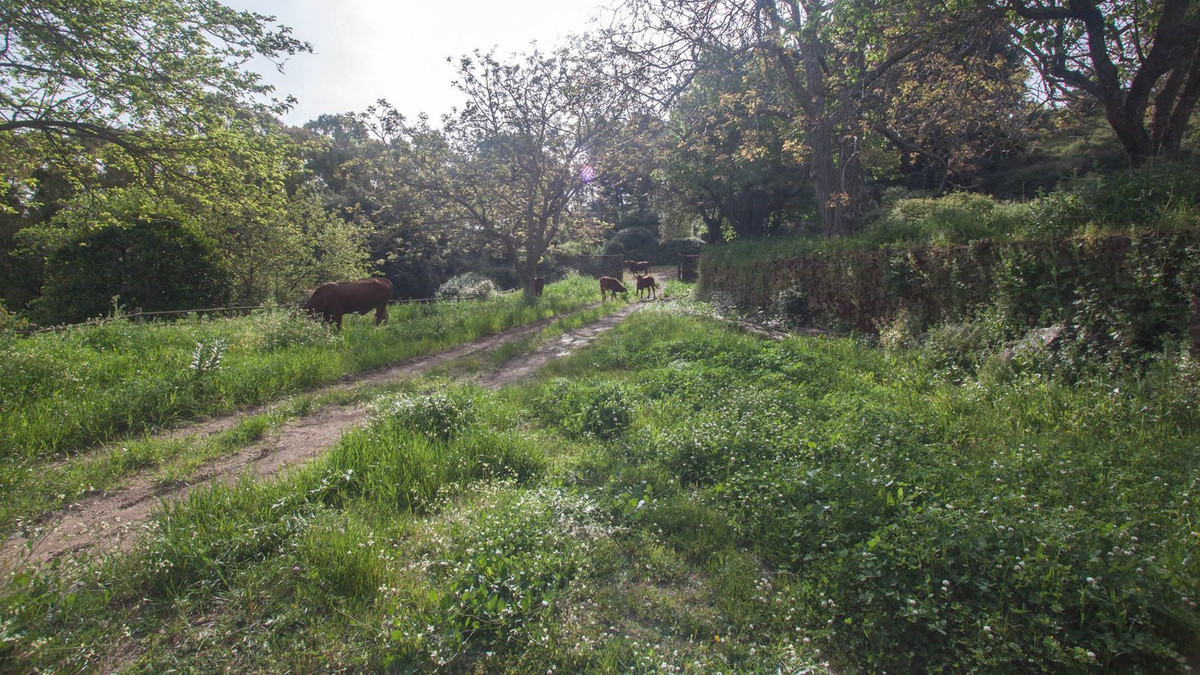 Finca - Cortijo te koop in Gaucín | 3 slaapkamers H5050264
