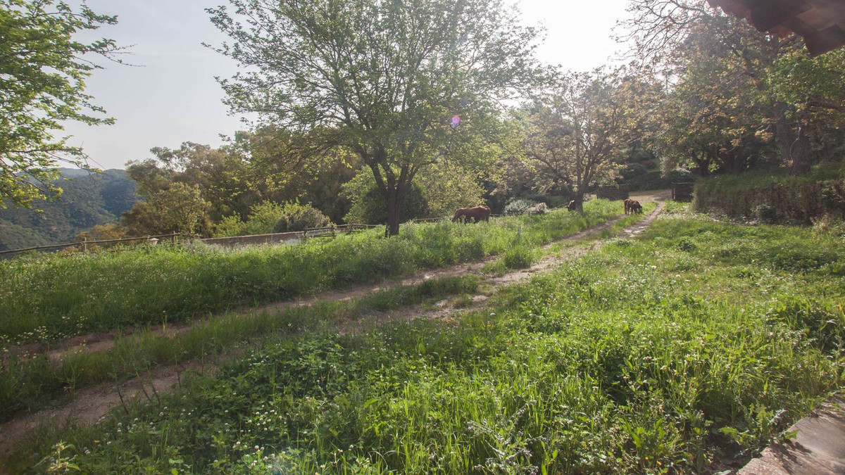 Finca - Cortijo te koop in Gaucín | 3 slaapkamers H5050264