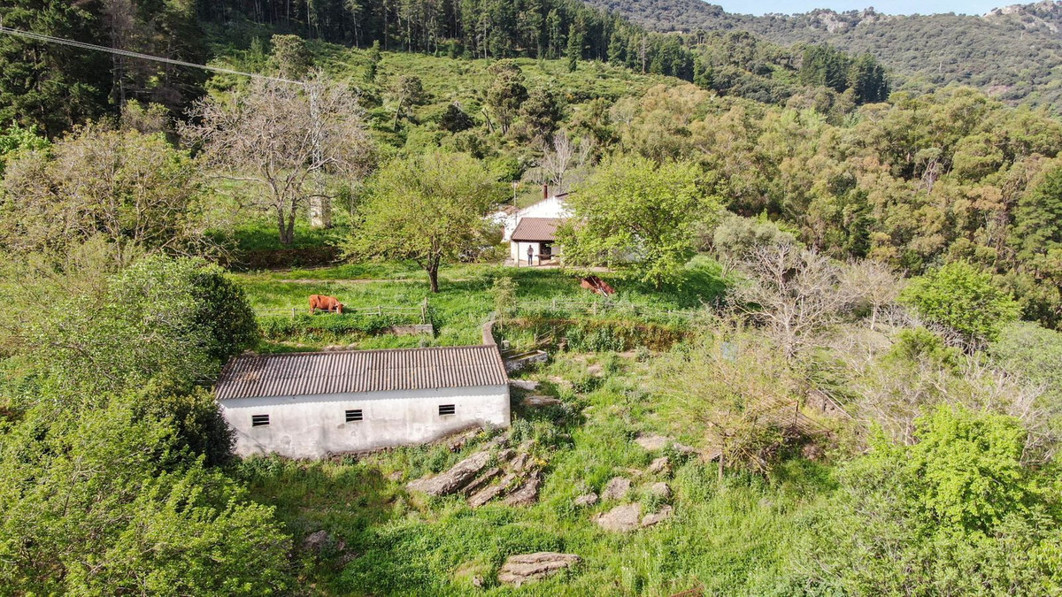 Finca - Cortijo te koop in Gaucín | 3 slaapkamers H5050264