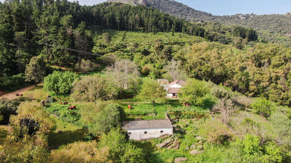 Finca - Cortijo te koop in Gaucín | 3 slaapkamers H5050264