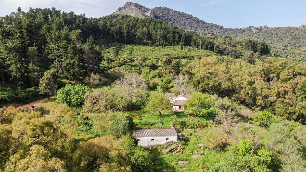 Finca - Cortijo te koop in Gaucín | 3 slaapkamers H5050264