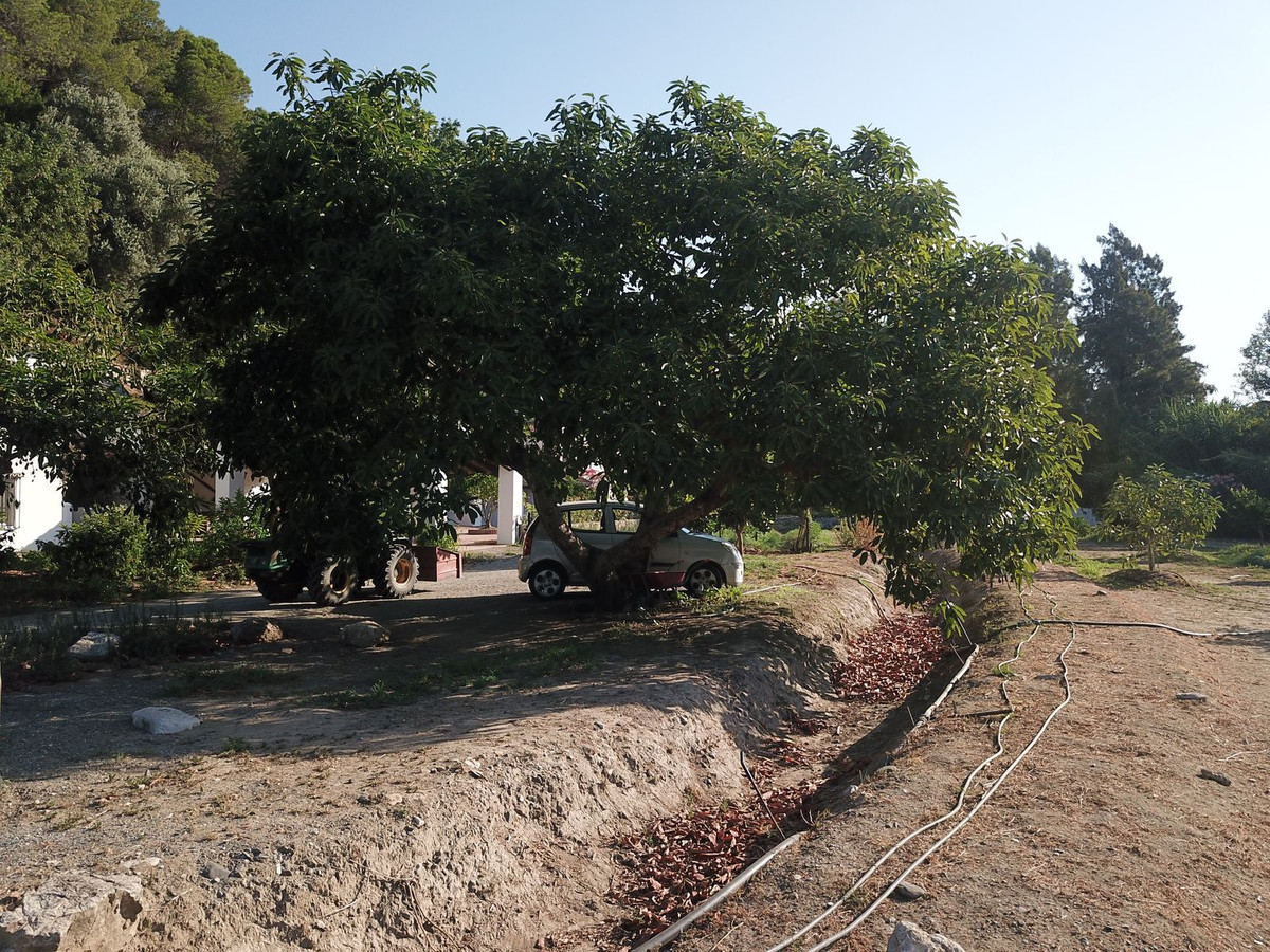 Finca - Cortijo te koop in Gaucín | 8 slaapkamers H5107468