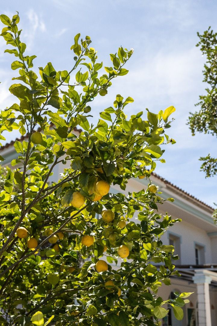 Vrijstaande Villa te koop in Gaucín | 7 slaapkamers H5123752