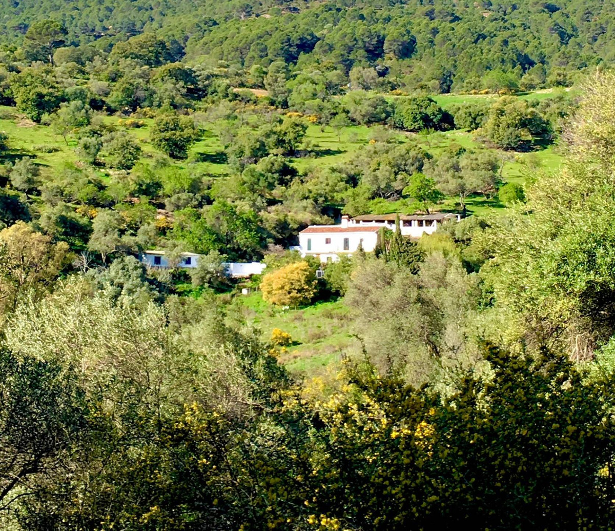 Finca - Cortijo te koop in Gaucín | 5 slaapkamers H5147434