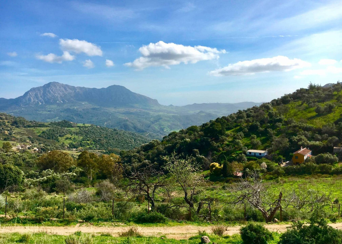 Finca - Cortijo te koop in Gaucín | 5 slaapkamers H5147434
