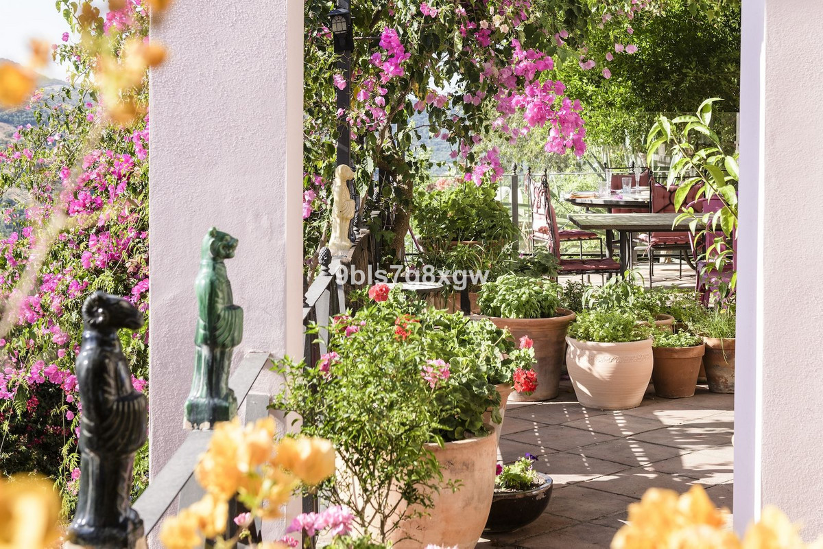 Property main view 15