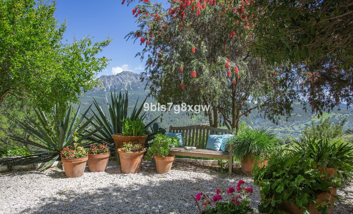 Property main view 30