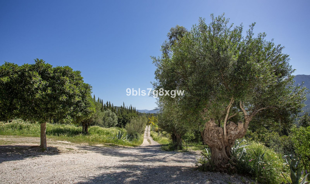 Property main view 6