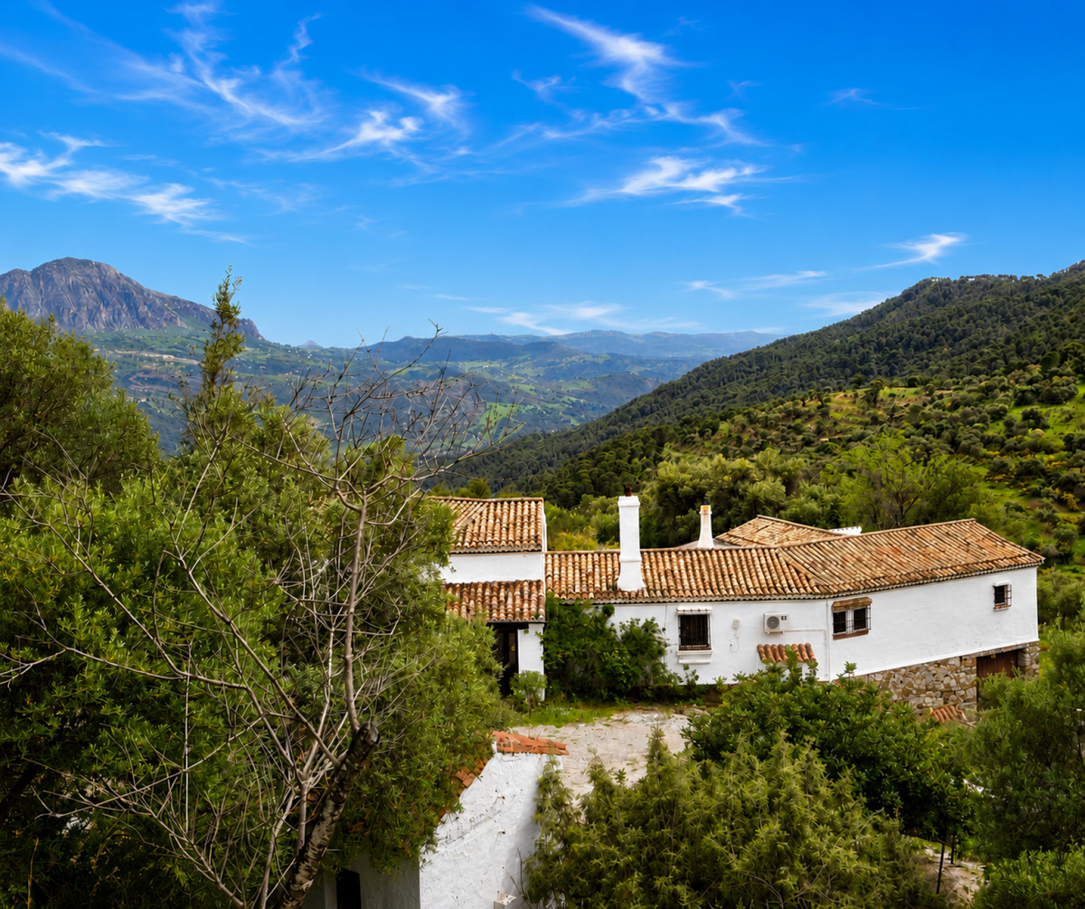 Property main view 13