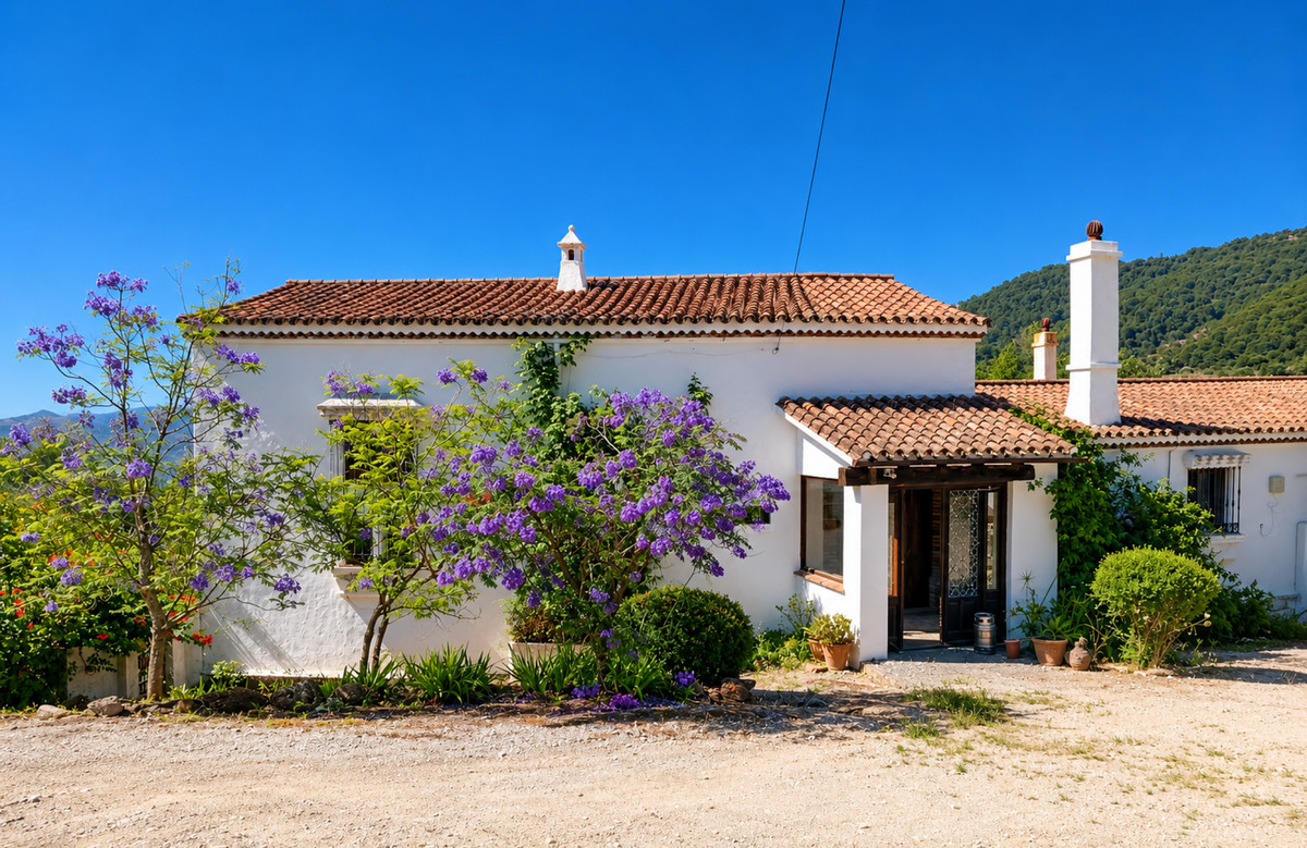 Property main view 2