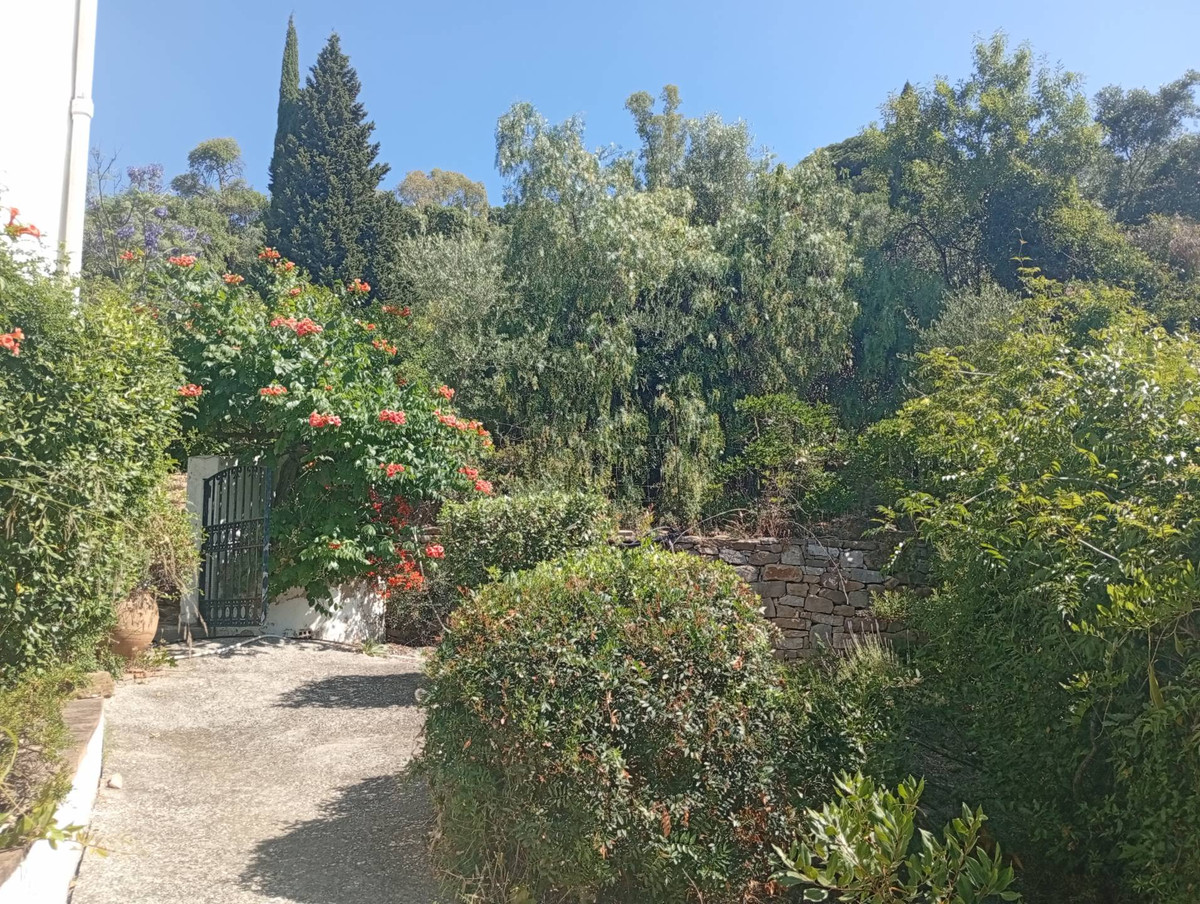 Property main view 49