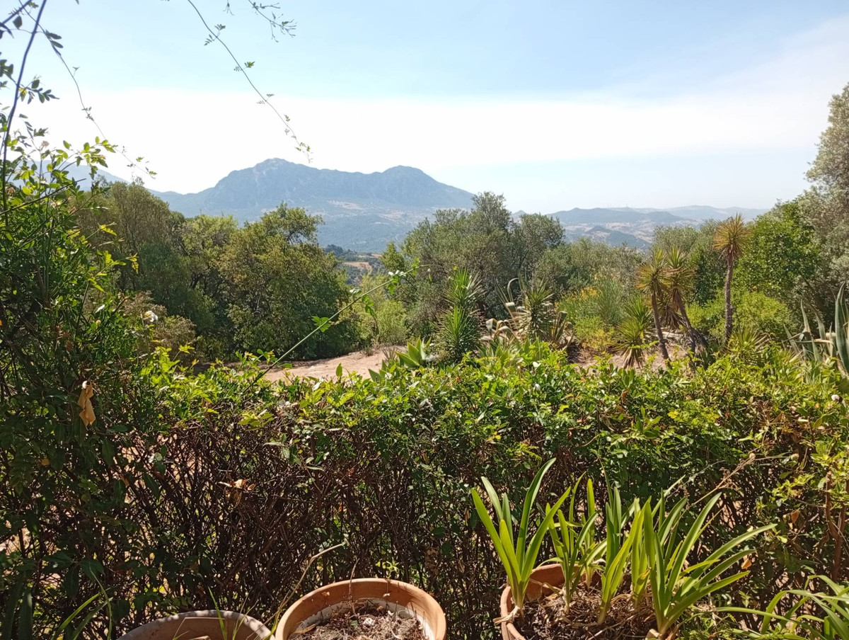 Property main view 5