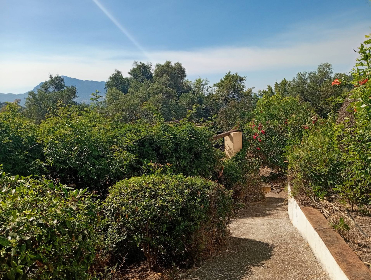 Property main view 50