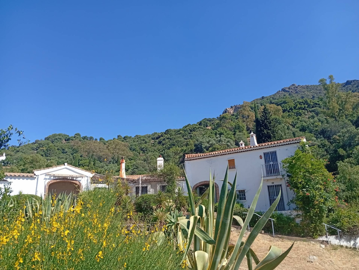 Property main view 54