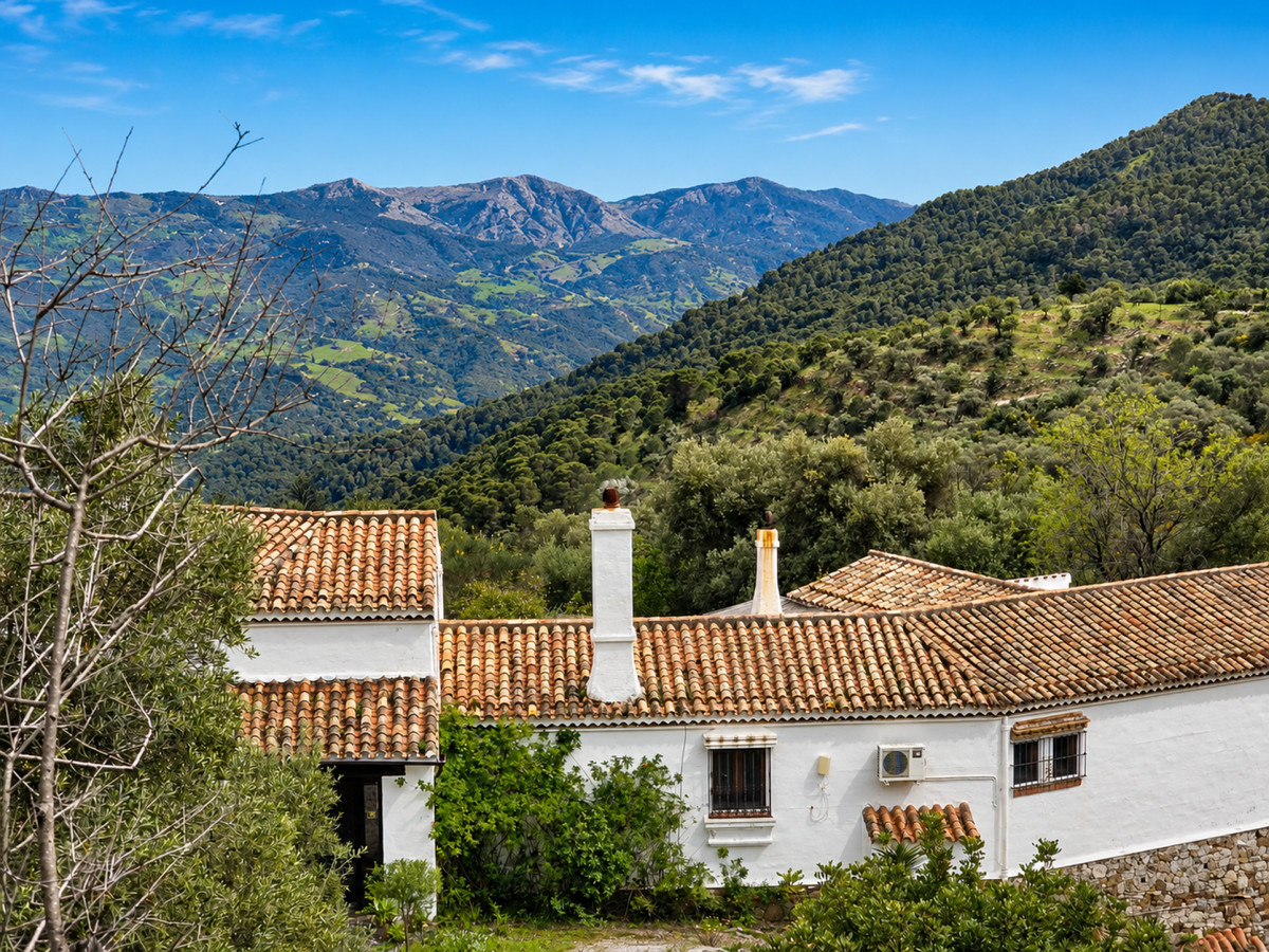 Property main view 55