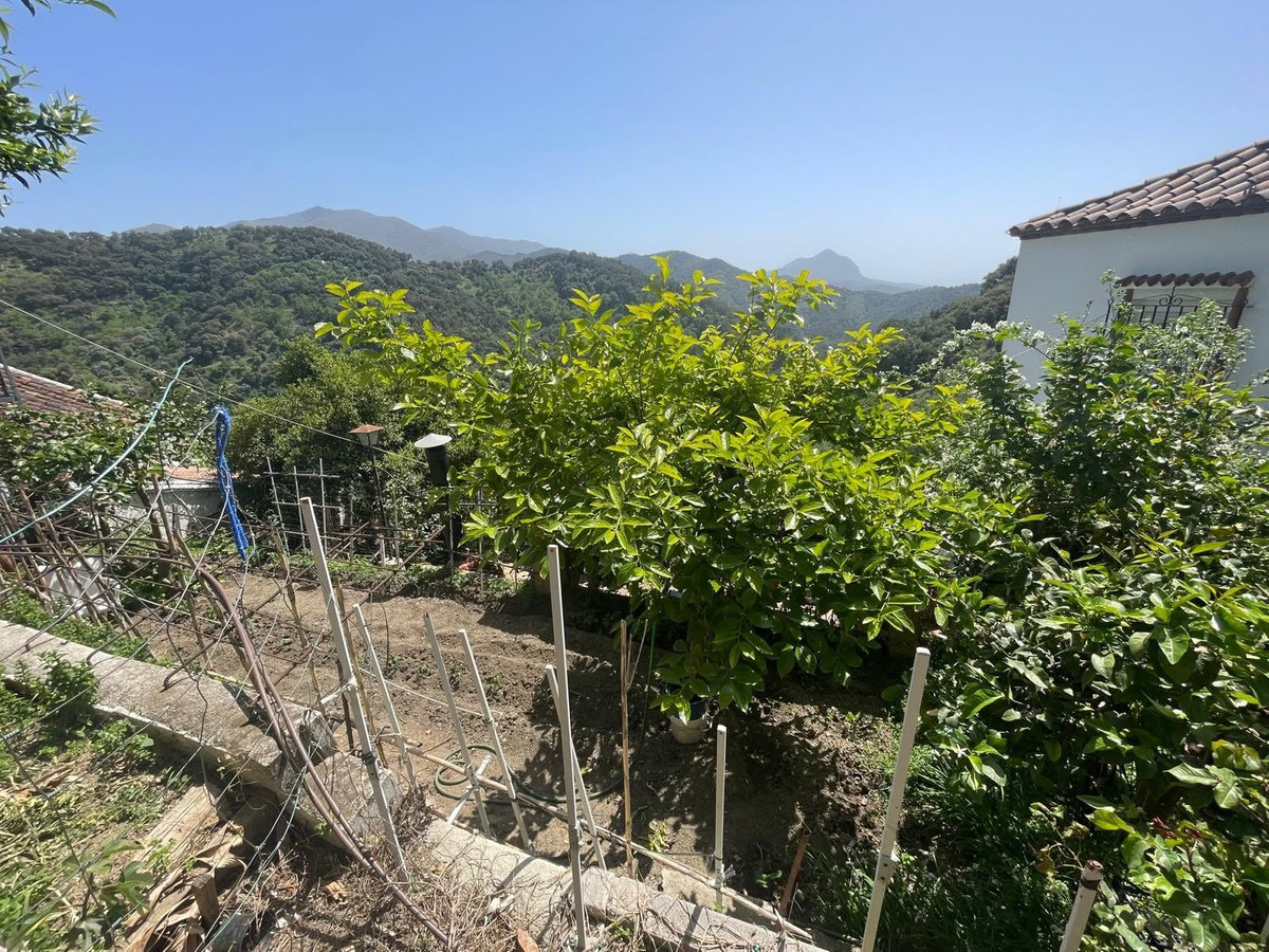 Property main view 2