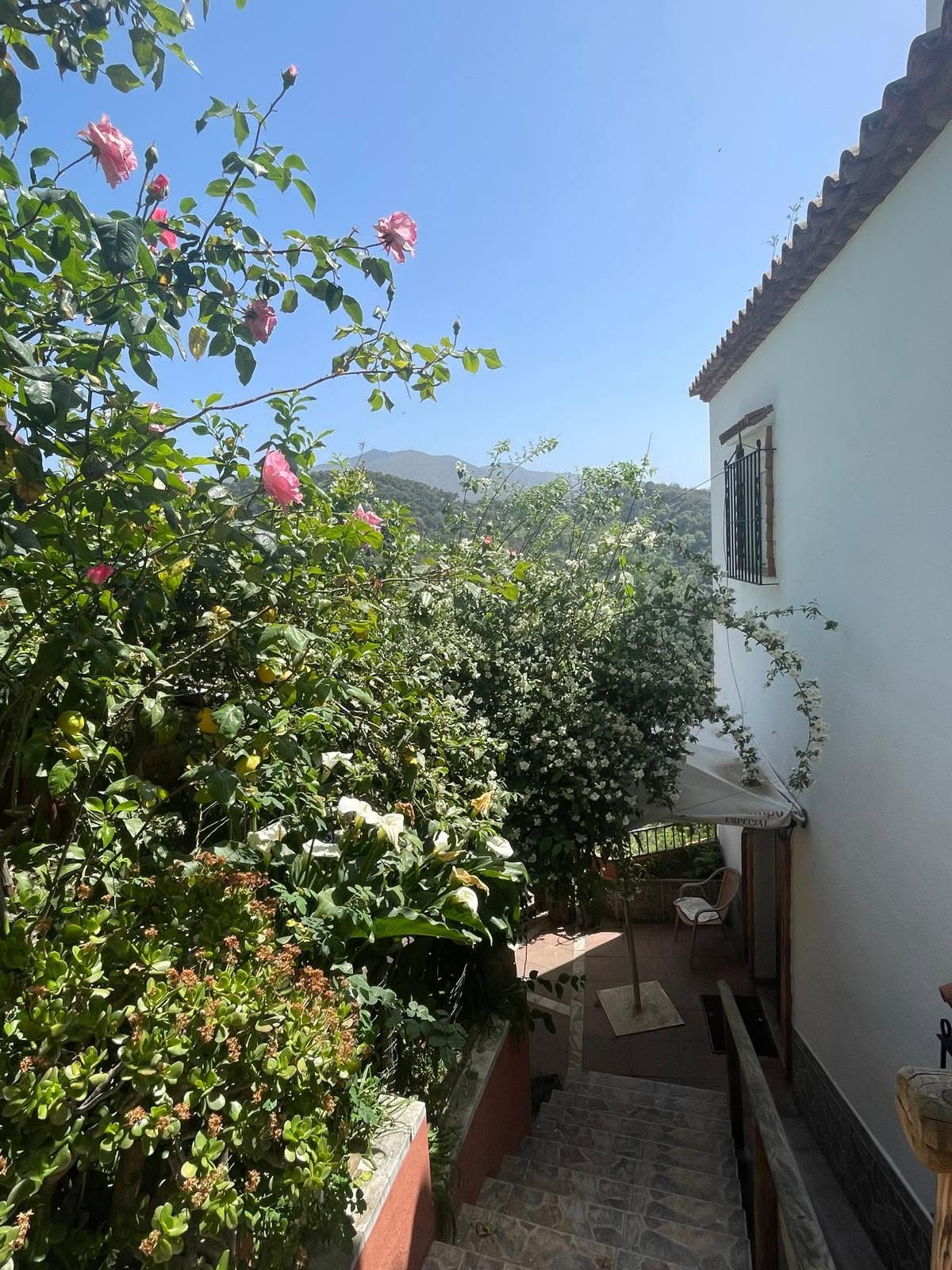 Property main view 3