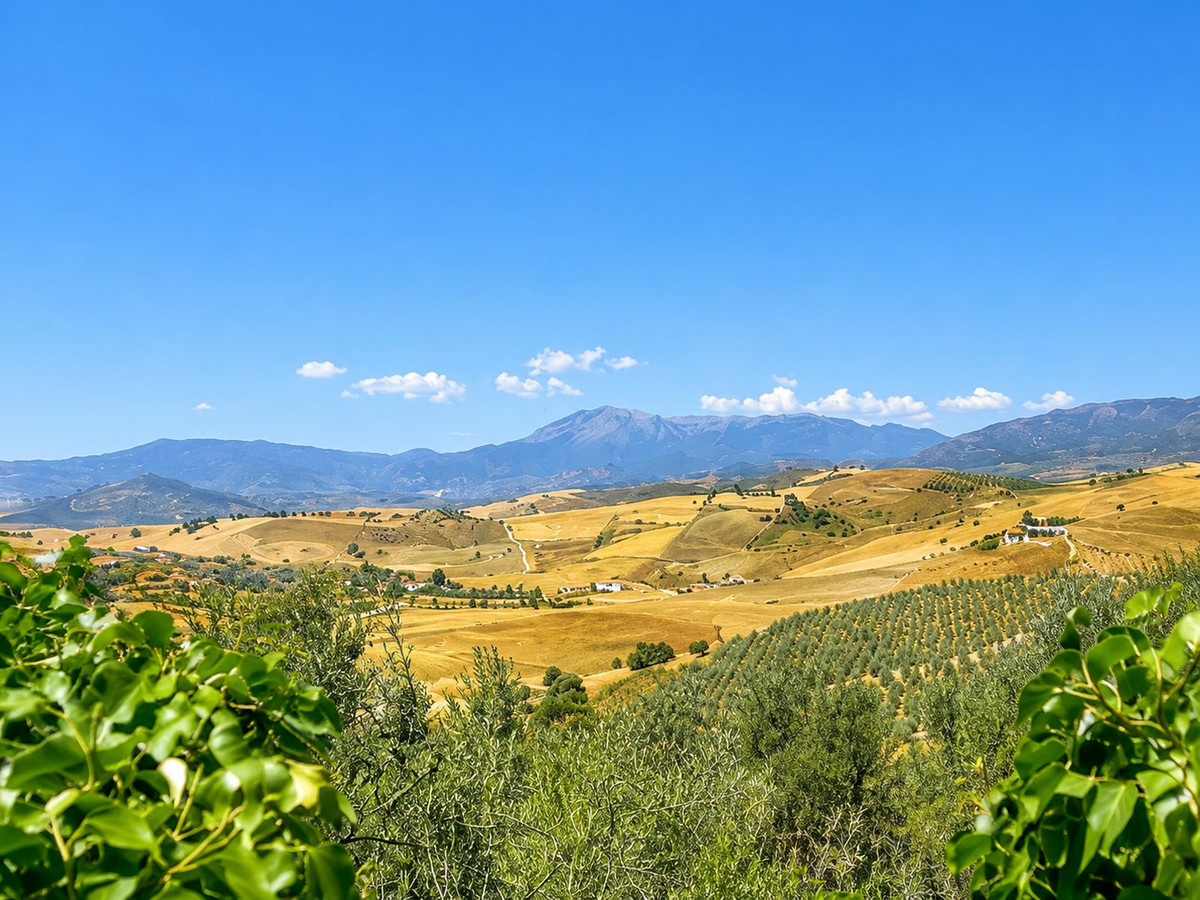 Property main view 22