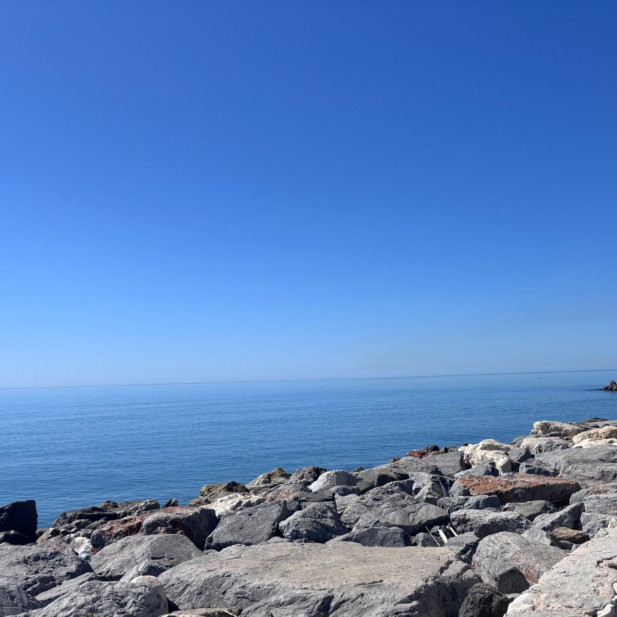 Property main view 2