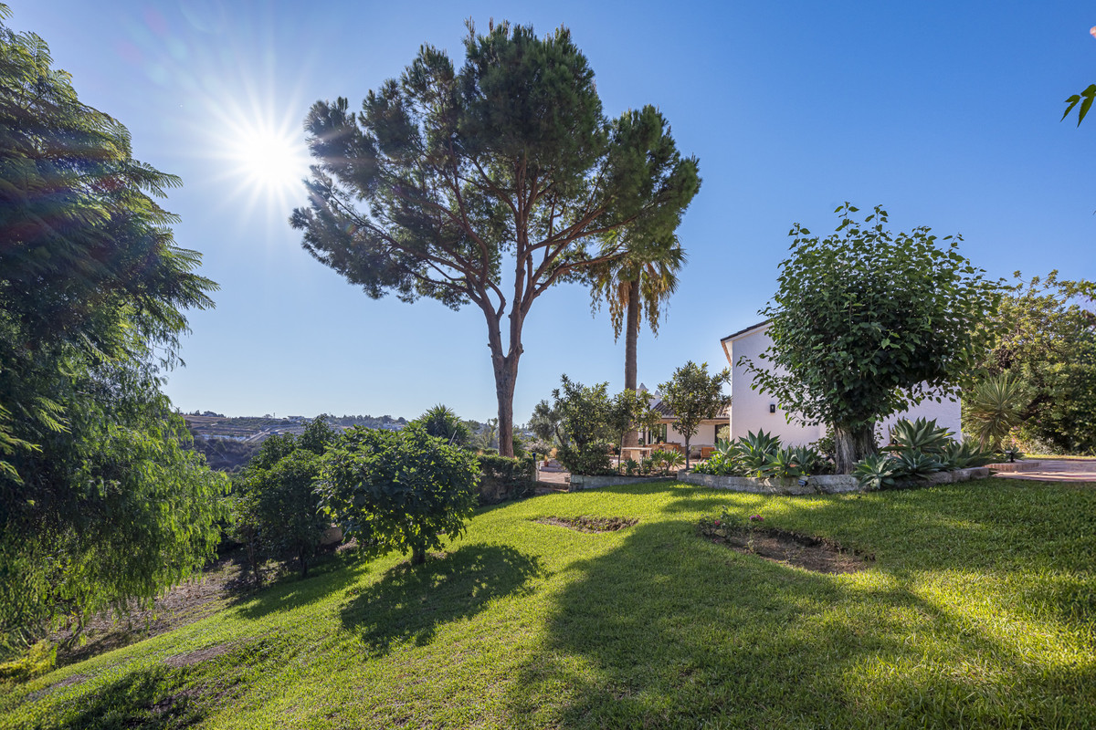 Vrijstaande Villa in Guadalmina Alta-52