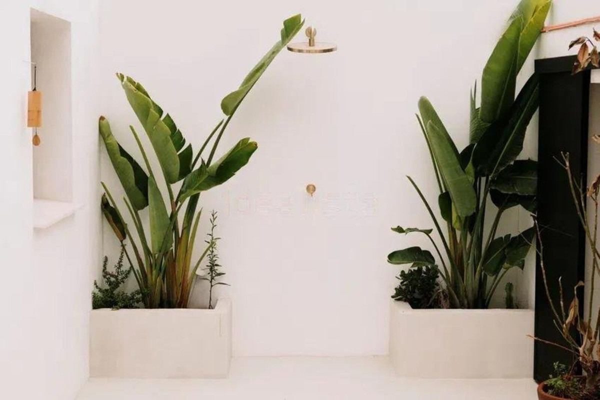 Huis te koop in Guadalmina Alta | 4 slaapkamers H5218189