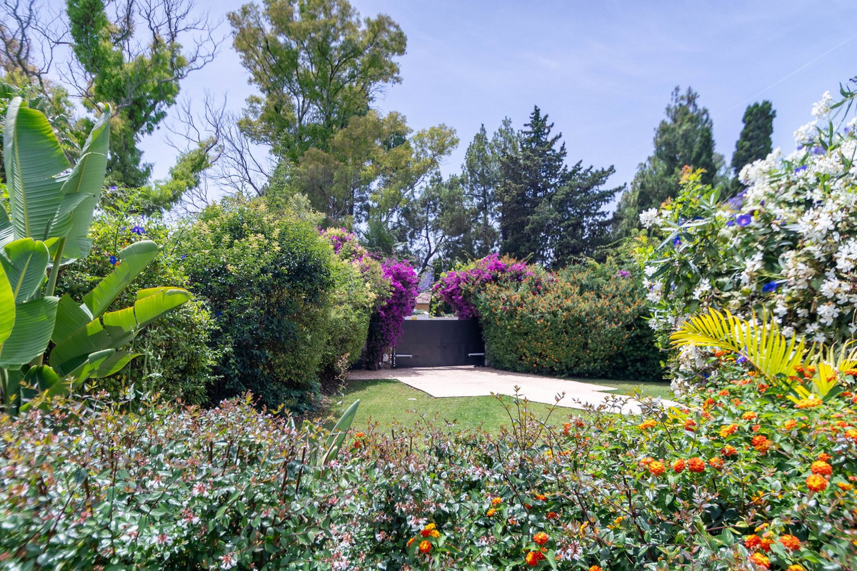 Property main view 56