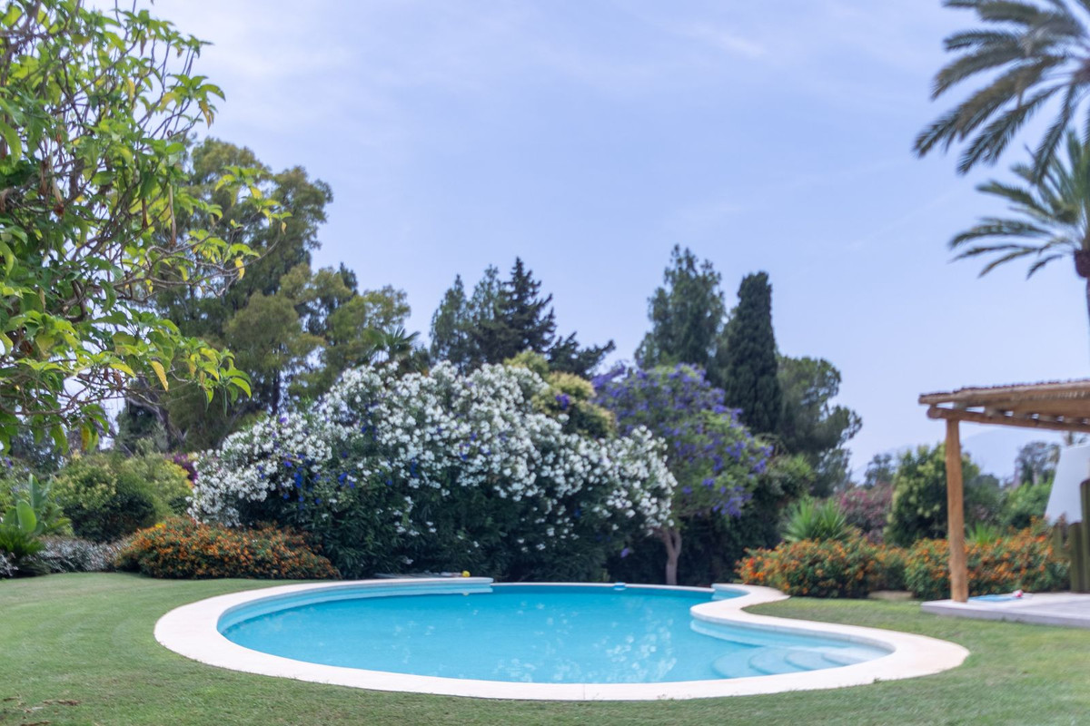 Property main view 62