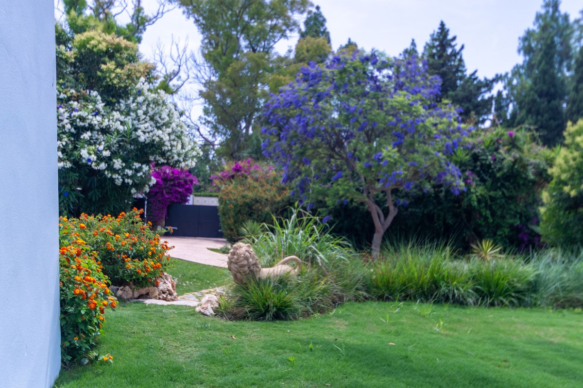 Property main view 63