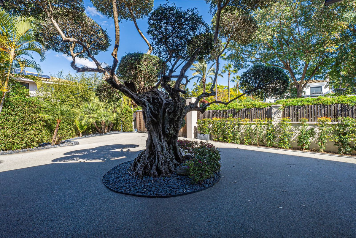 Vrijstaande Villa in Guadalmina Baja-7