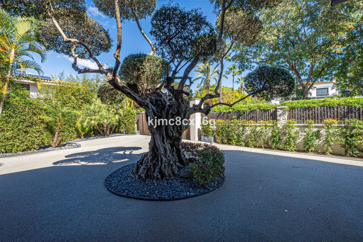 Property main view 87