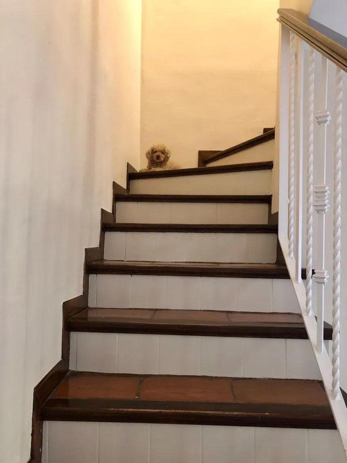 Property main view 10