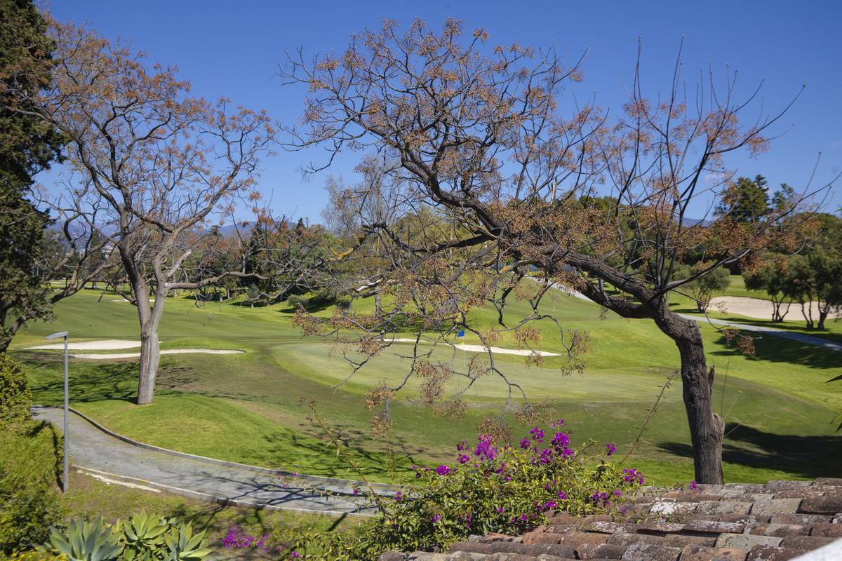 Property main view 33