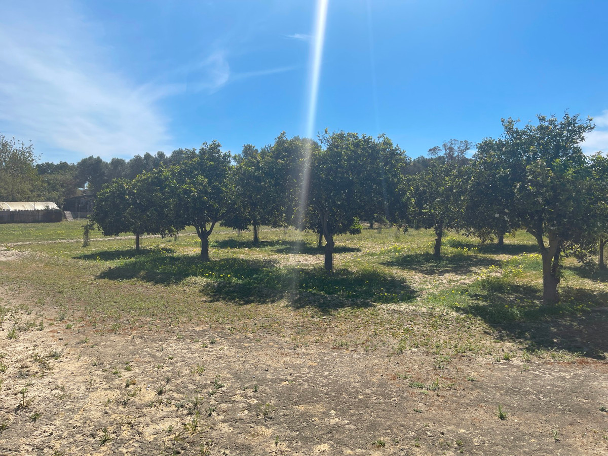 Property main view 13