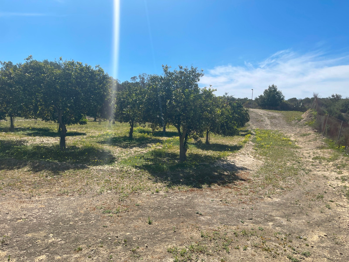 Property main view 37