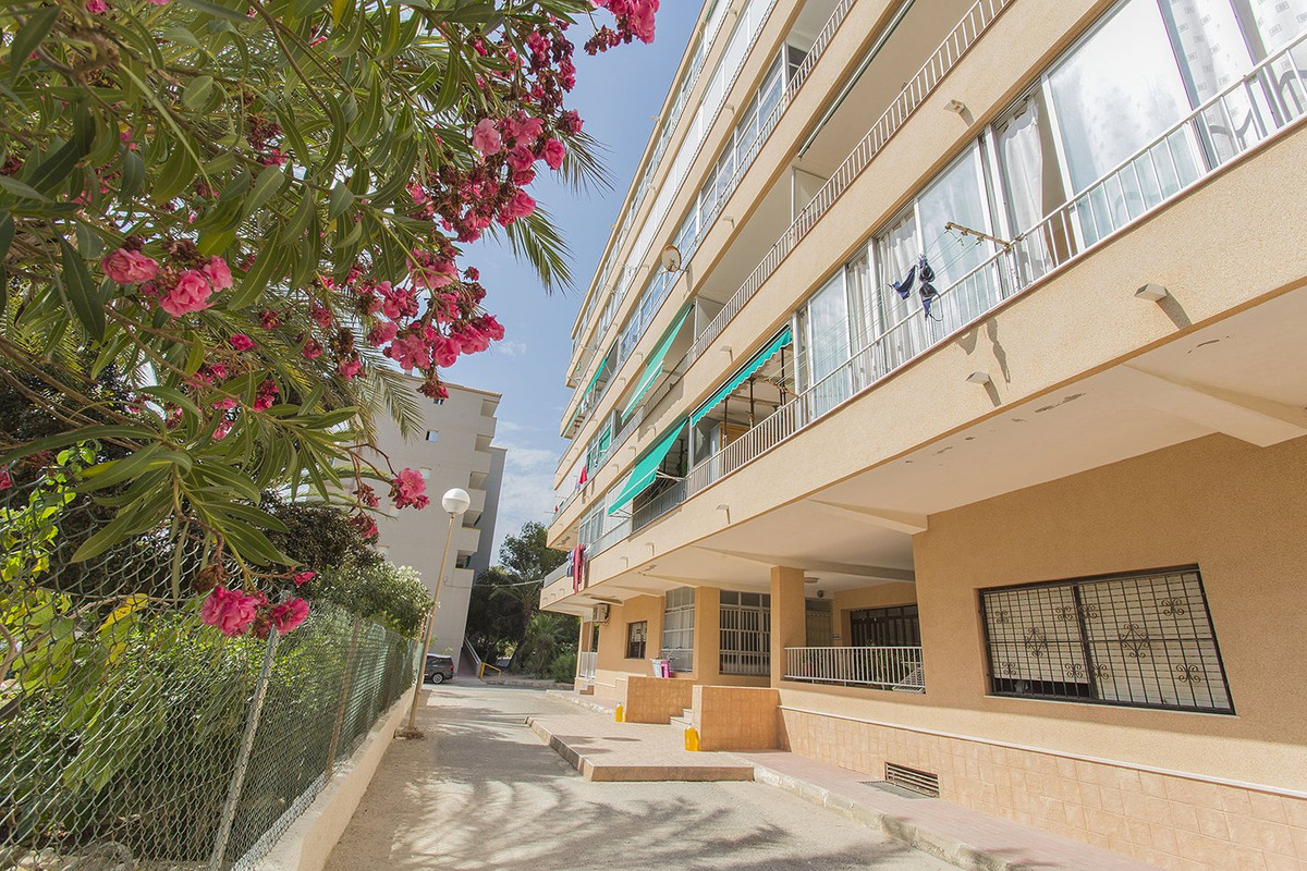 Appartement te koop in Guardamar del Segura | 3 slaapkamers H5295361