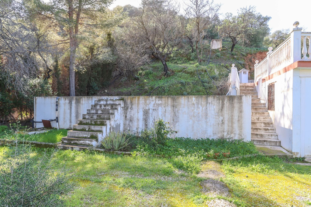 Finca - Cortijo in Guaro-22