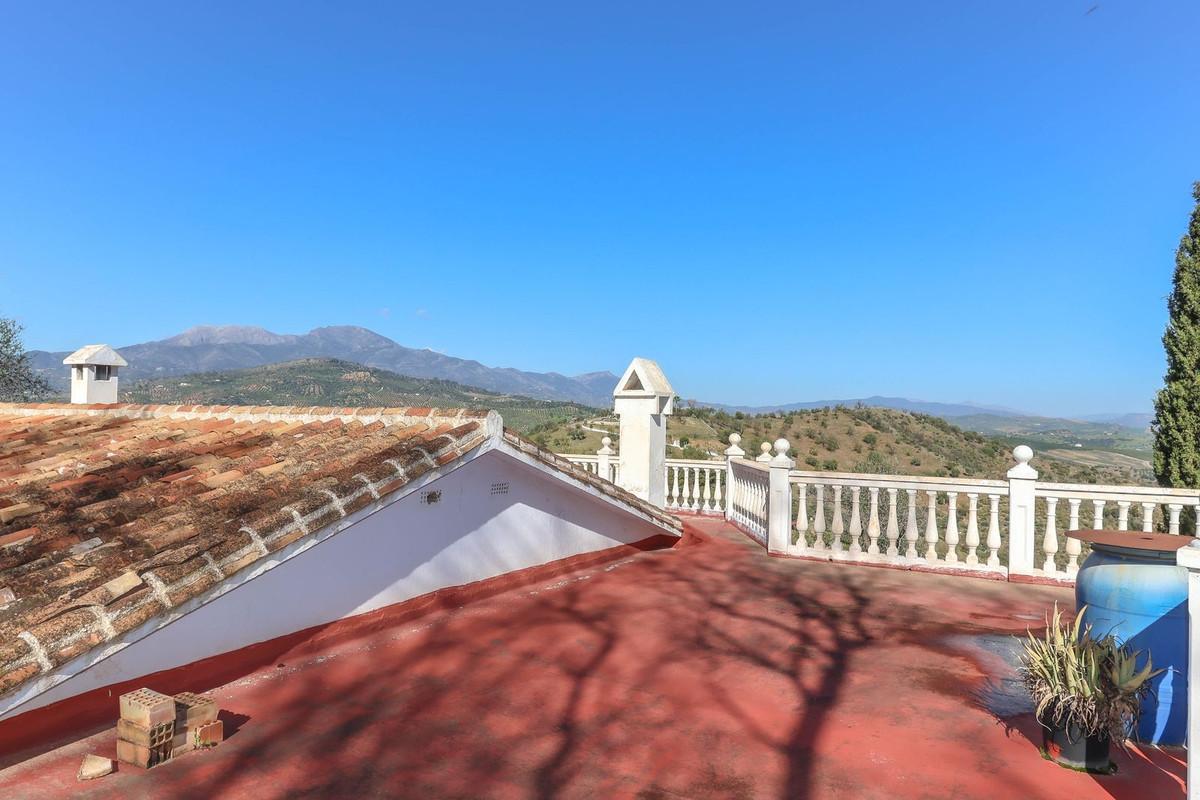 Finca - Cortijo in Guaro-28
