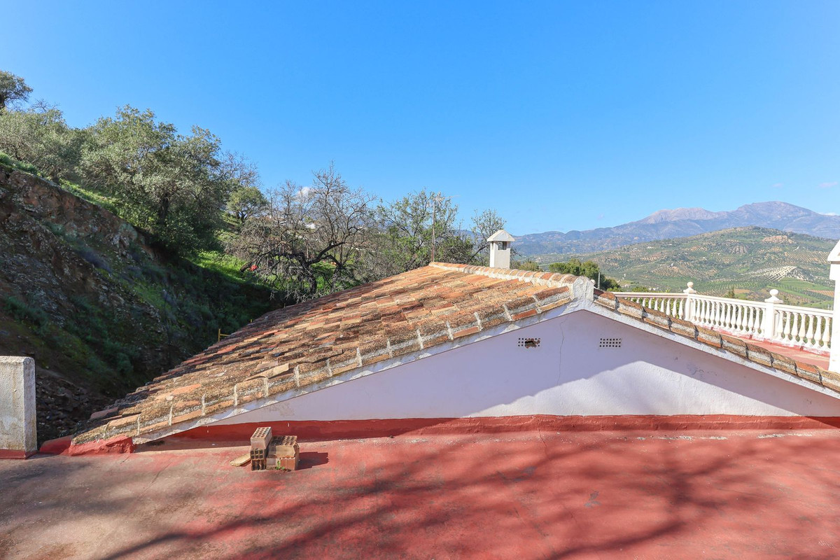 Finca - Cortijo in Guaro-29