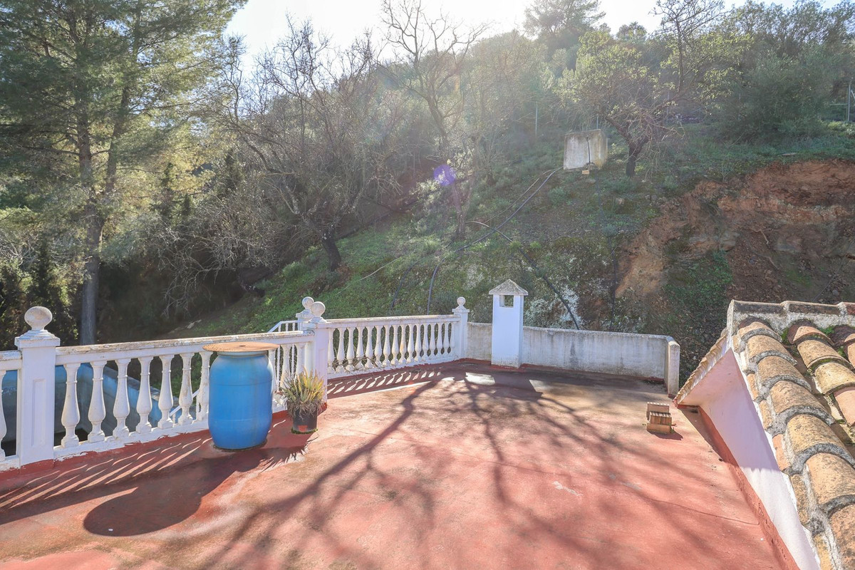 Finca - Cortijo in Guaro-30